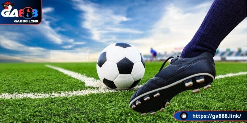 Tìm hiểu thông tin để đánh kèo hợp lý